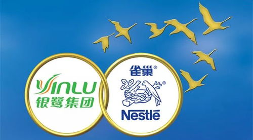 “银鹭入巢” 真相被掩盖的故事？解读雀巢的100%收购与未来巨变!