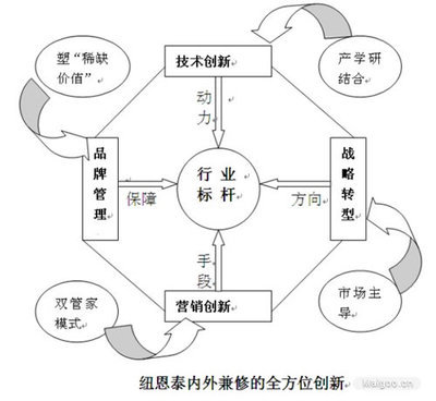 王者之师 论纽恩泰空气能企业的纵横之道