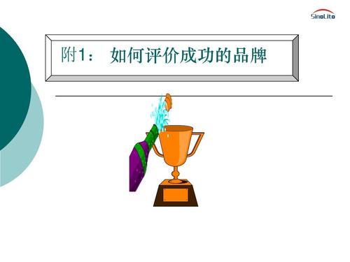 品牌管理视角下的成功品牌评价体系
